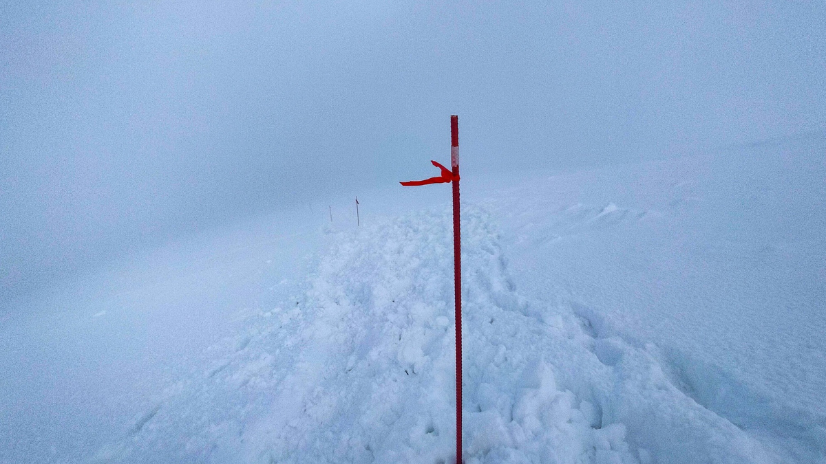 На маршруті від спортбази «Заросляк» до вершини Говерли встановили зимове маркування.
