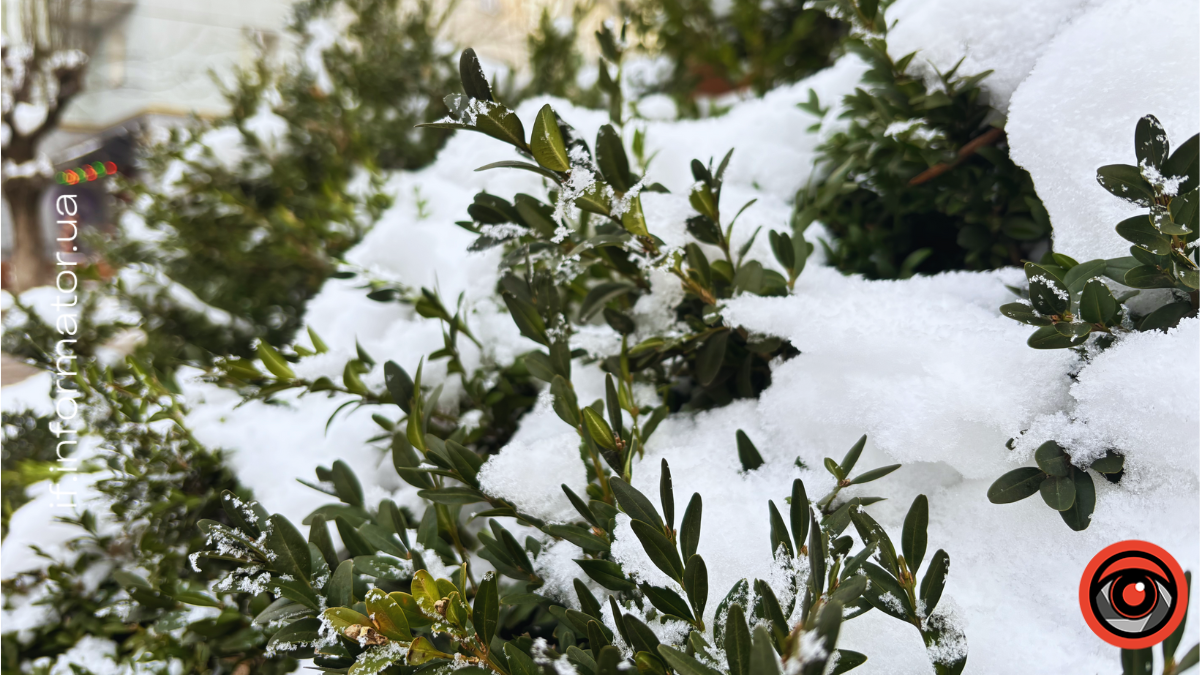 свята 6 лютого