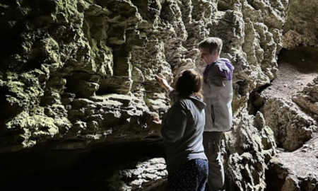 У печері на Прикарпатті знайшли кілька видів рідкісних рослин