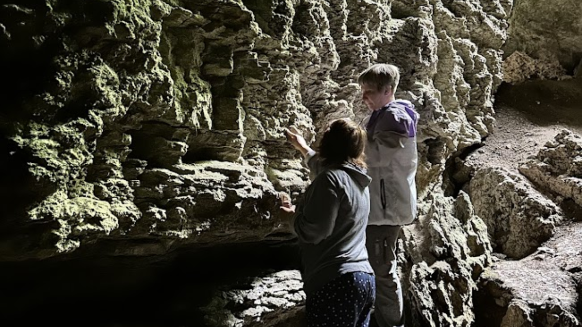 У печері на Прикарпатті знайшли кілька видів рідкісних рослин