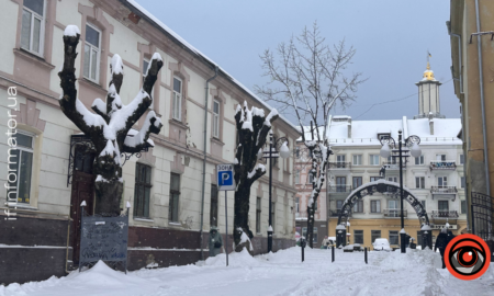 Туман і мокрий сніг: погода на Франківщині 8 лютого