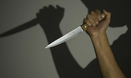 Поранила зятя