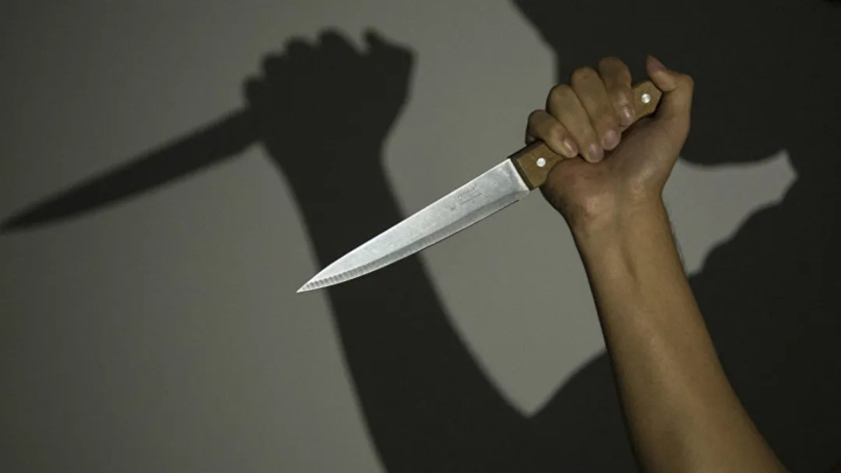 Поранила зятя