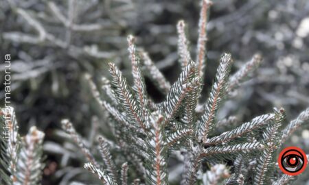 Хмарність та ожеледь: прогноз погоди на Івано-Франківщині 16 лютого