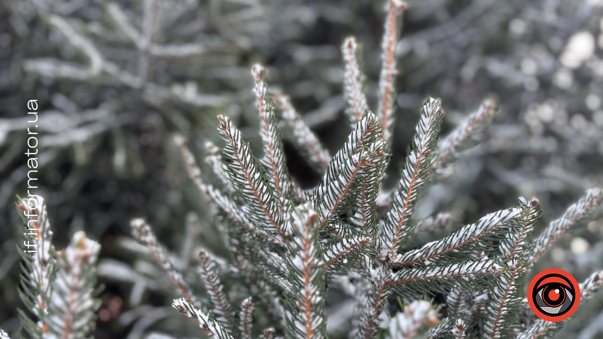Хмарність та ожеледь: прогноз погоди на Івано-Франківщині 16 лютого