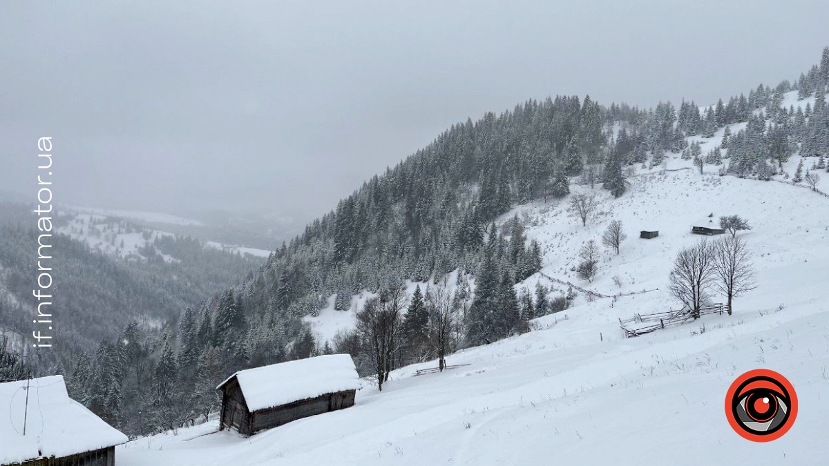 Як убезпечити себе під час мандрівки Карпатами