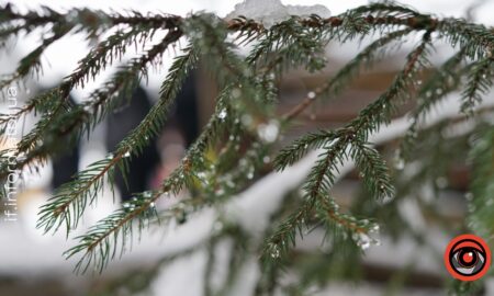 1 березня на Прикарпатті прогнозують мінливу хмарність та слабкий туман