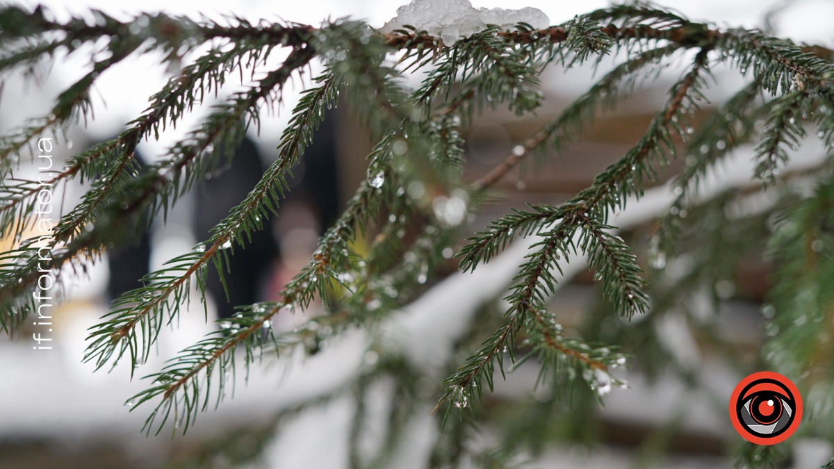 1 березня на Прикарпатті прогнозують мінливу хмарність та слабкий туман