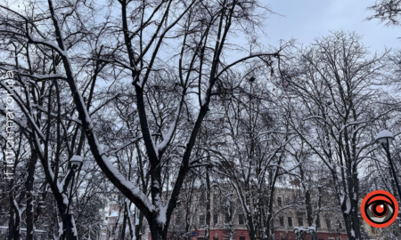 Мінлива хмарність та ожеледиця: якою буде погода на Франківщині 2 лютого