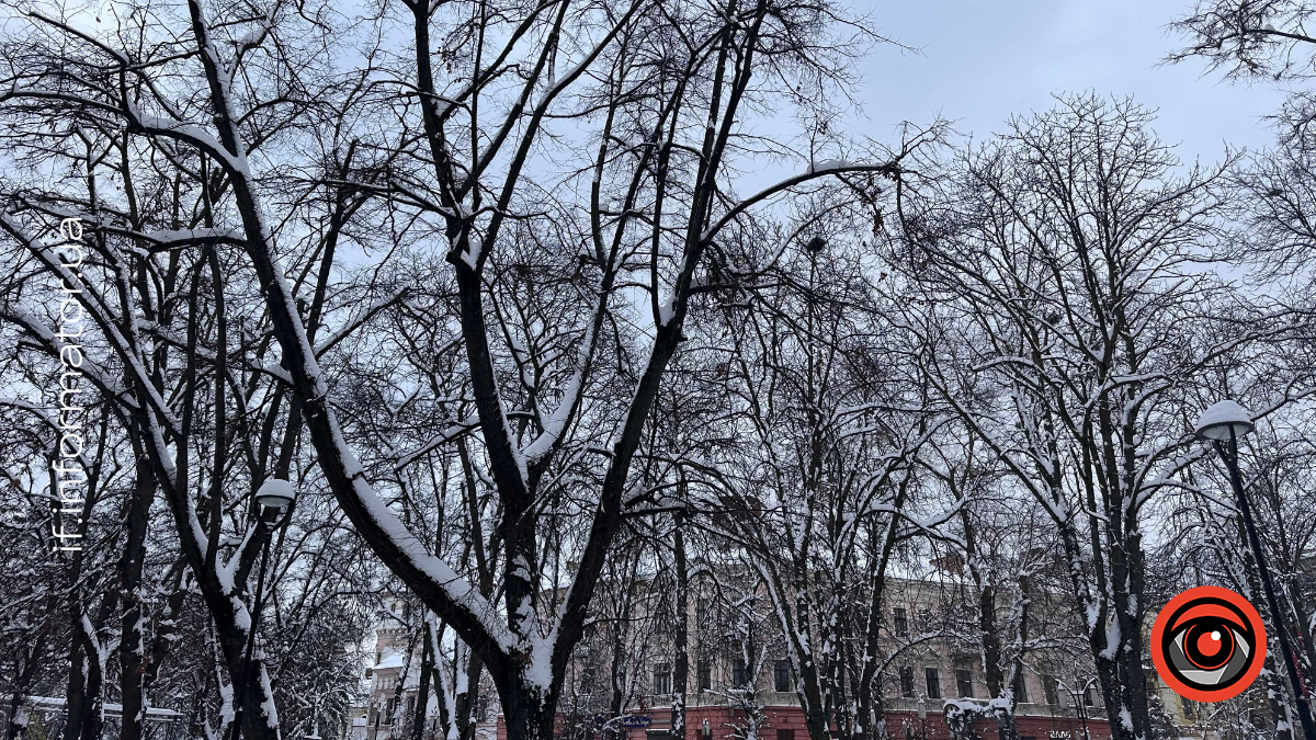 Мінлива хмарність та ожеледиця: якою буде погода на Франківщині 2 лютого