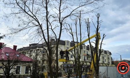 Зрізка дерев