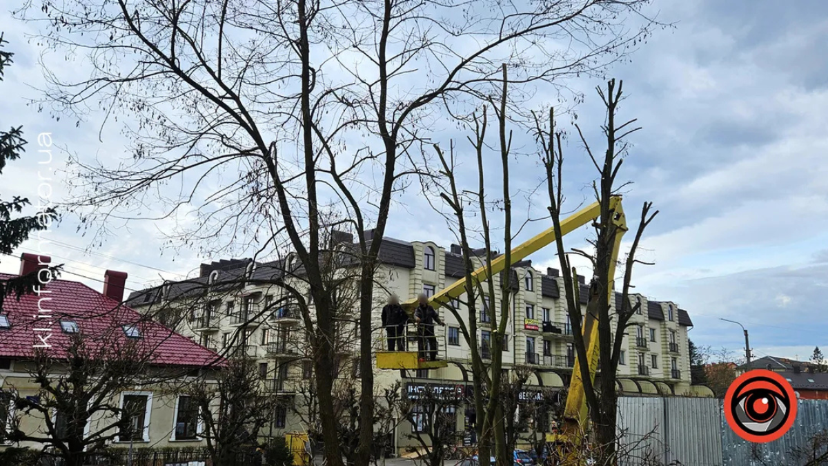 Зрізка дерев