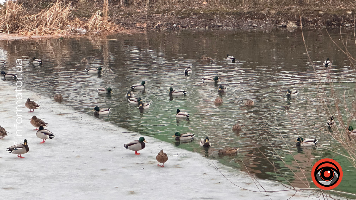 Свята 1 березня