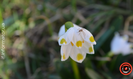 Свята 13 березня