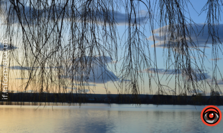 Свята 14 березня