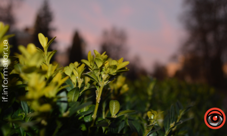 Свята 20 березня