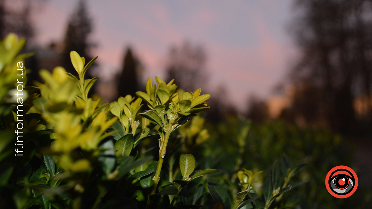 Свята 20 березня