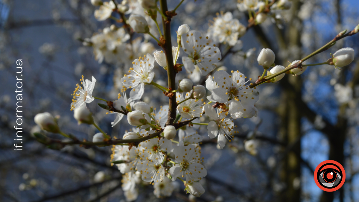 Свята 22 березня