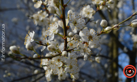 Свята 24 березня