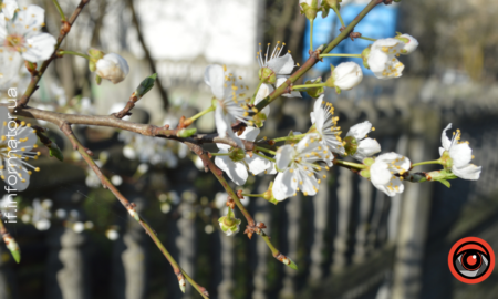 Свята 26 березня