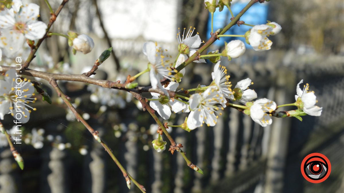 Свята 26 березня