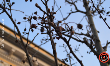 Свята 6 березня