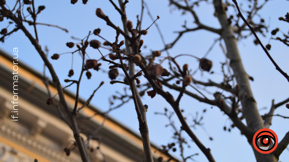 Свята 6 березня