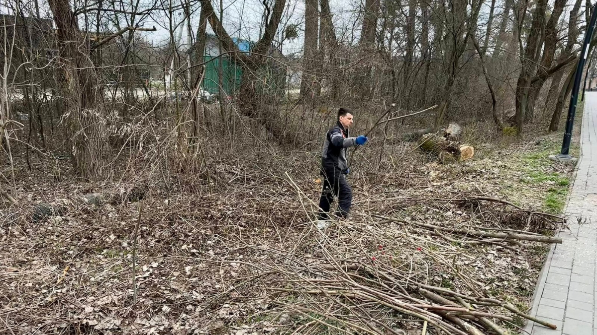 Прибирання дамби