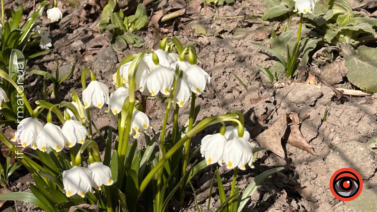 Прогноз погоди на Прикарпатті 15 березня