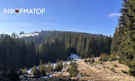 Цигарки, деревина та люди: як українці використовують Карпати для незаконних перевезень