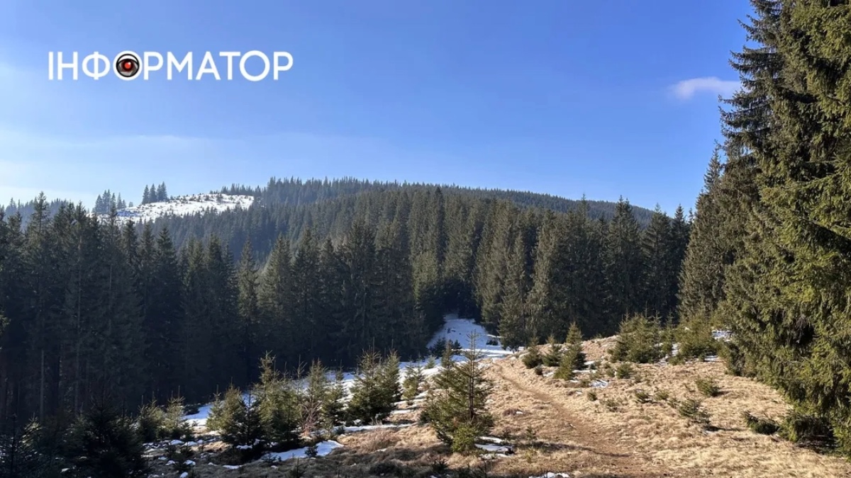 Цигарки, деревина та люди: як українці використовують Карпати для незаконних перевезень