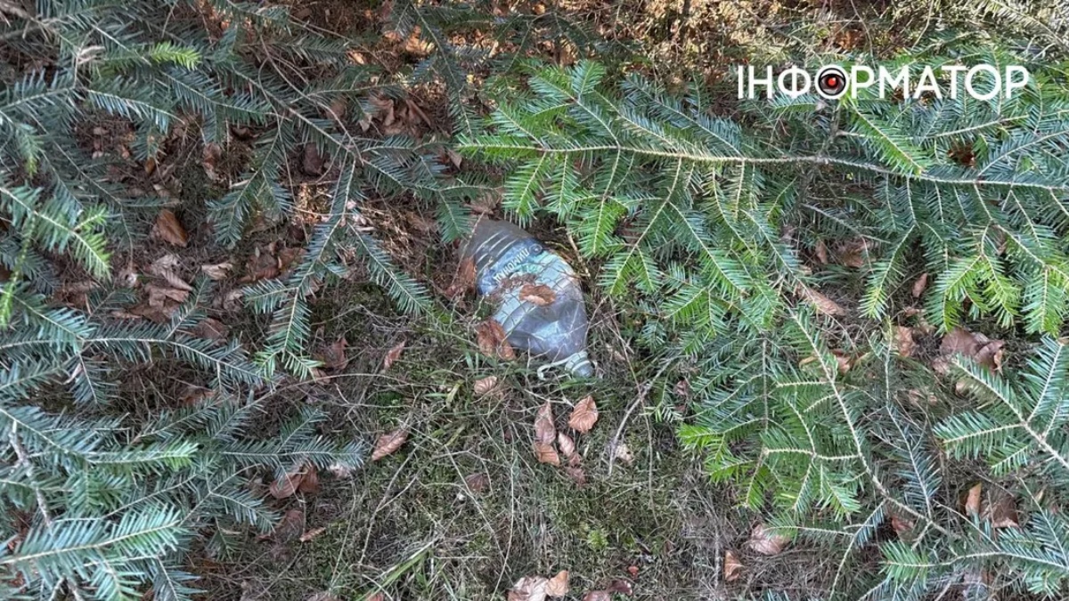 Побутові відходи у Карпатах. Березень 2026 року