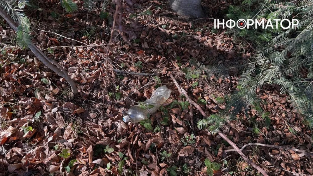 Побутові відходи у Карпатах. Березень 2026 року