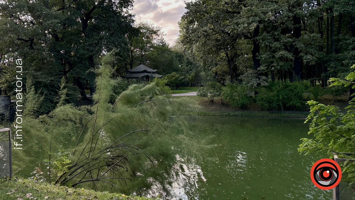 Погода на Прикарпатті 5 березня