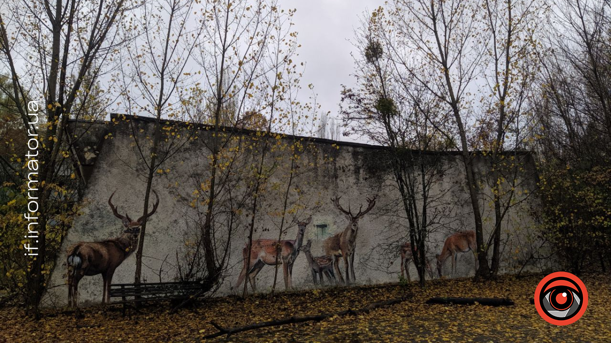 Чорнобильська зона відчуження у період 2021-2022 років. Фото: Максим Шапран