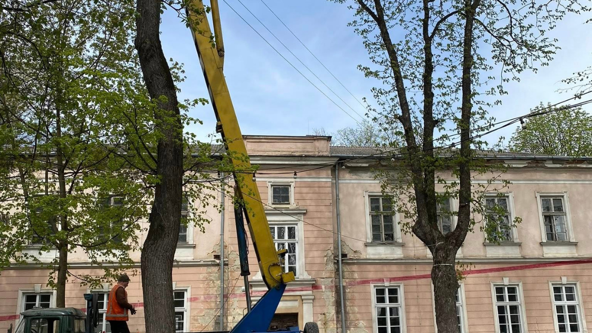 Санітарне обрізання дерев на вулиці Шпитальній в Івано-Франківську 24 квітня 2026 року. Фото: Михайло Смушак