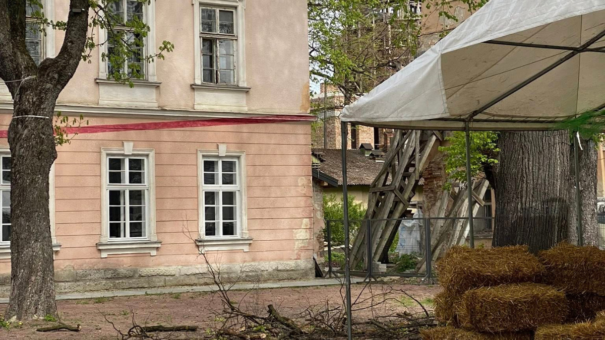 кронуванняСанітарне обрізання дерев на вулиці Шпитальній в Івано-Франківську 24 квітня 2026 року. Фото: Михайло Смушак