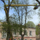 На вулиці Шпитальній у Франківську проводять санітарну обрізку дерев