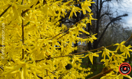 Свята 10 квітня