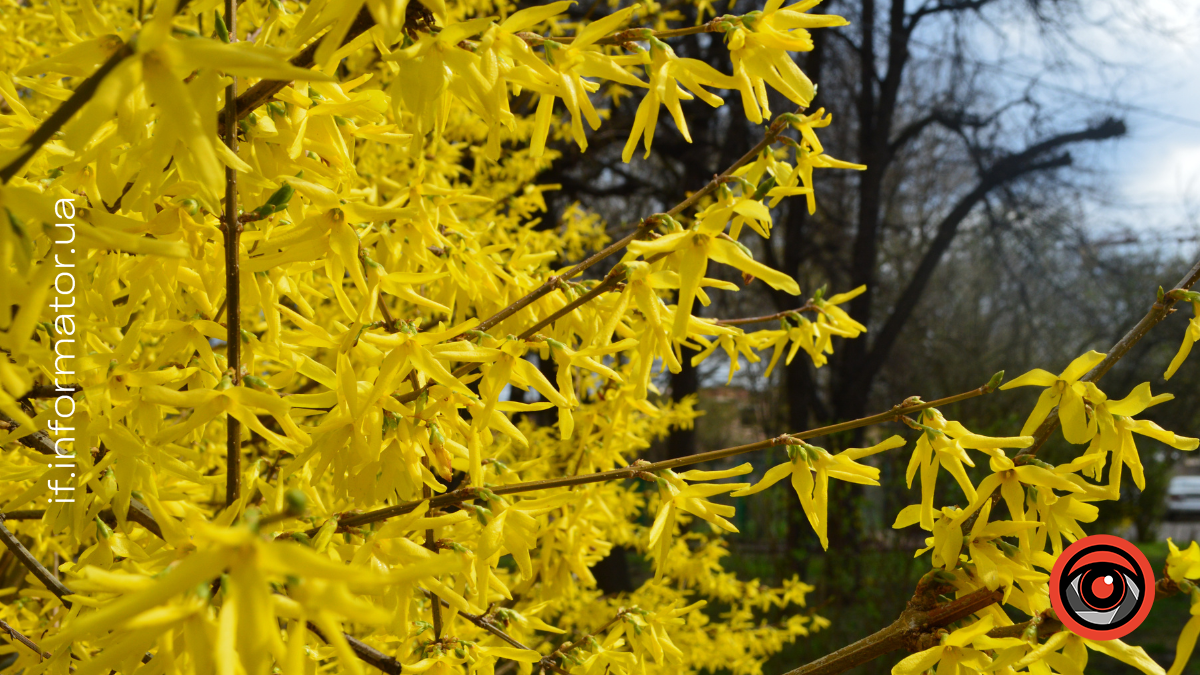 Свята 10 квітня