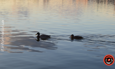 Свята 17 квітня