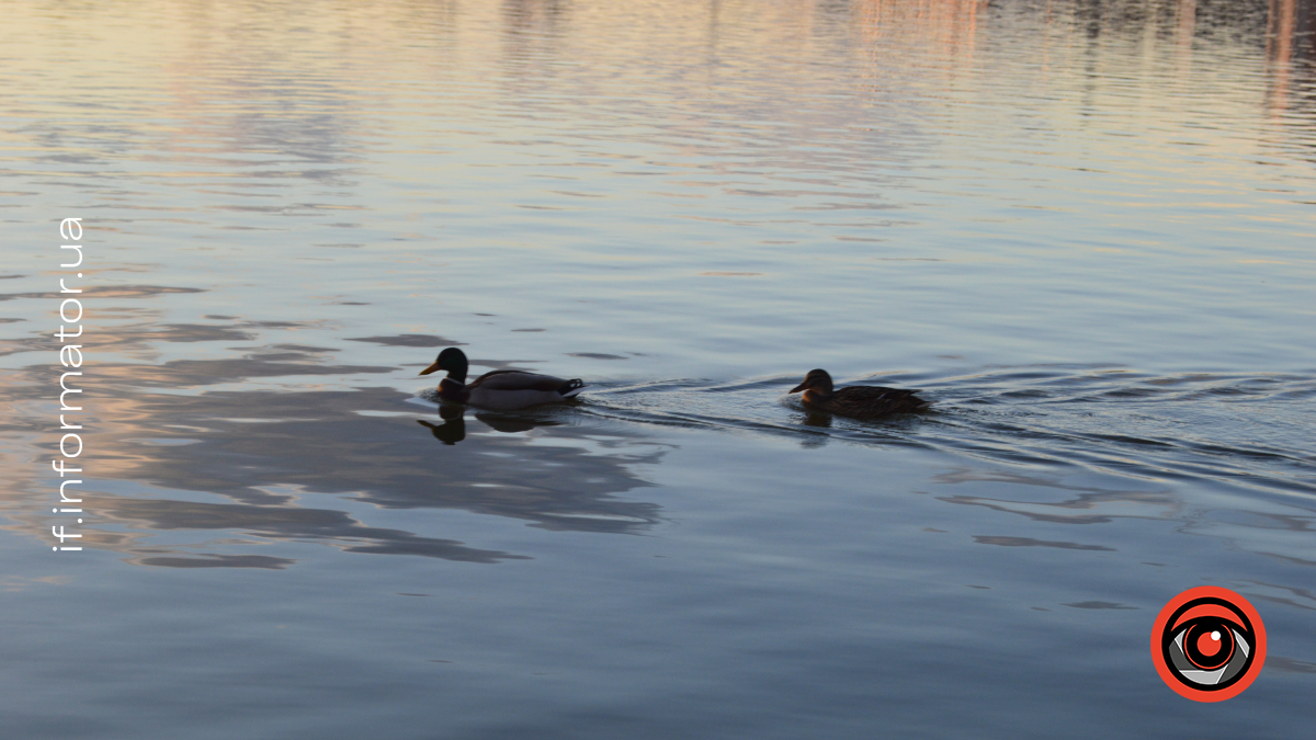 Свята 17 квітня