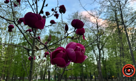 Свята 29 квітня