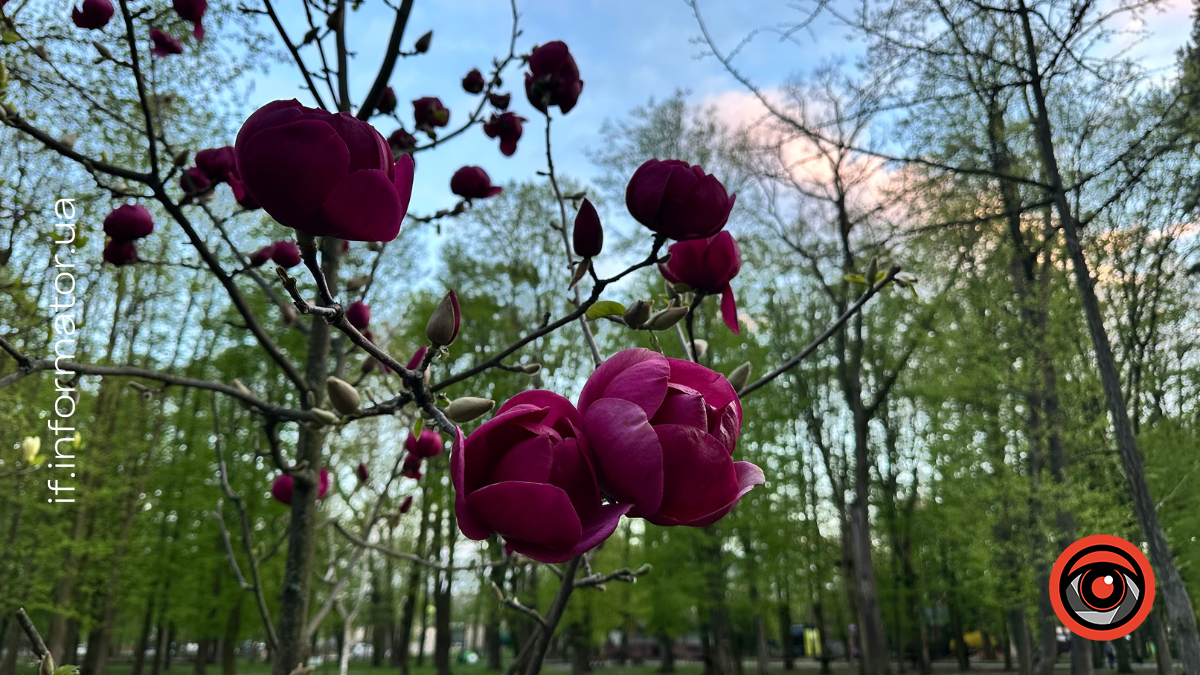 Свята 29 квітня