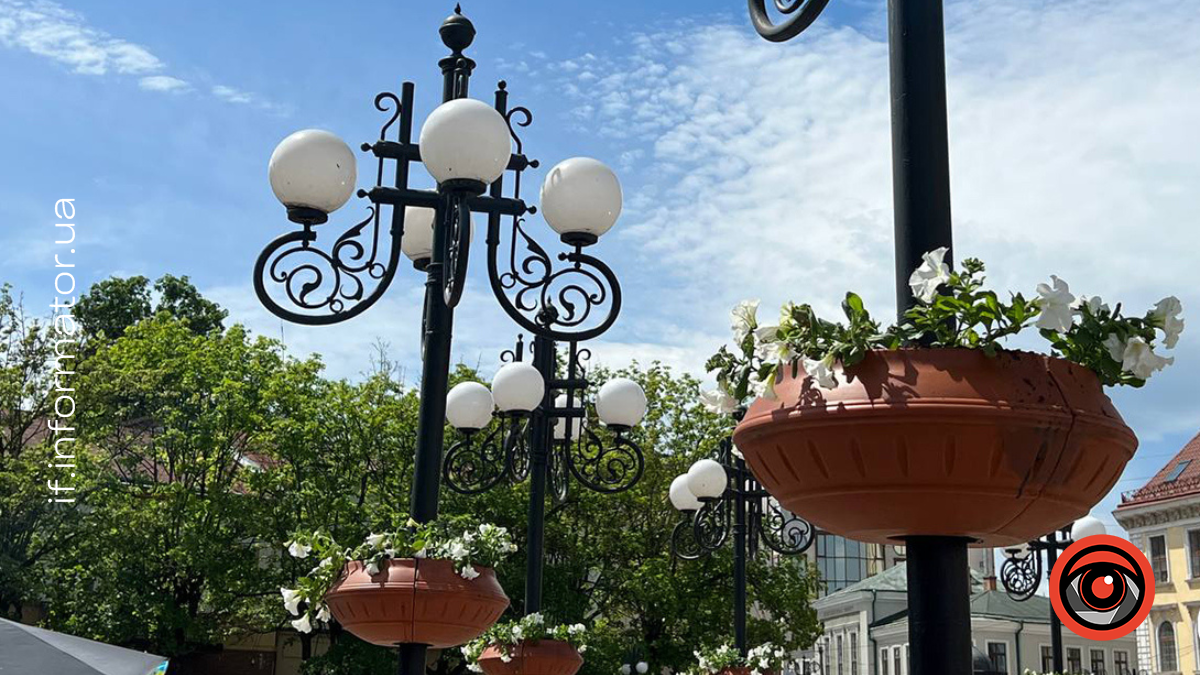 Підвісні квіти