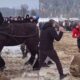 Суд закрив провадження щодо організатора кінного фестивалю «Бойківські коні» на Прикарпатті