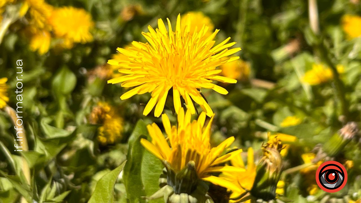 Ілюстрація. Прогноз погоди