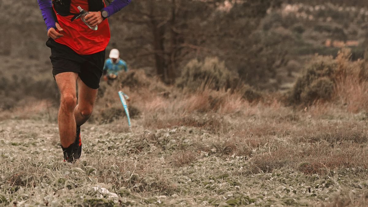 «Слідами Галицької трансверсальної залізниці»: на Прикарпатті організують трейловий забіг