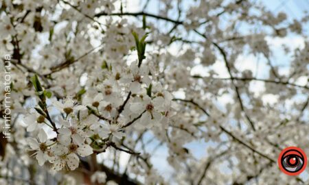 14 квітня на Прикарпатті прогнозують мінливу хмарність
