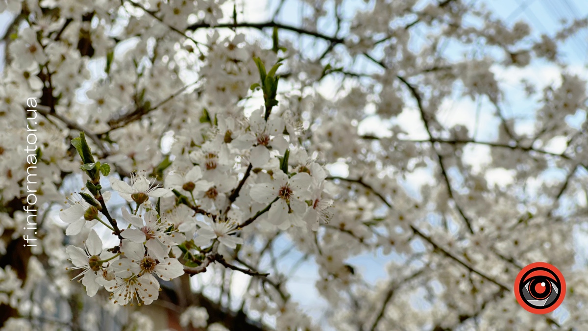14 квітня на Прикарпатті прогнозують мінливу хмарність